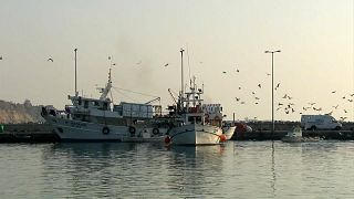 Saara Ocidental está fora do acordo de pescas UE-Marrocos 