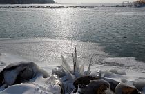 Higher temperatures recorded in Arctic than Europe