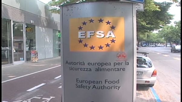EFSA: tre pesticidi nocivi per le api EFSA: tre pesticidi nocivi per le api
