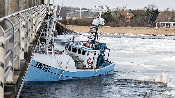 A híd alá szorított egy halászhajót a jeges víz Dániában A híd alá szorított egy halászhajót a jeges víz Dániában