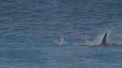 Surfer legend Mick Fanning retires