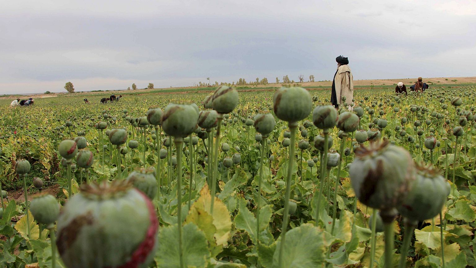 Afghanistan: Deutscher Taliban-Kämpfer festgenommen