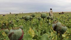 Afghanistan: Deutscher Taliban-Kämpfer festgenommen