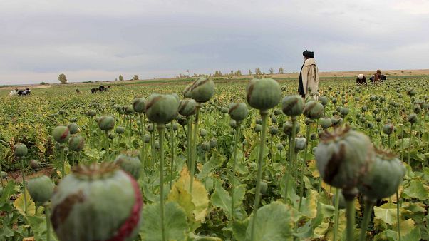 Afghanistan: Deutscher Taliban-Kämpfer festgenommen Afghanistan: Deutscher Taliban-Kämpfer festgenommen