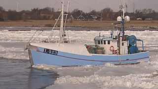 شاهد: ماذا حدث لقارب وسط الجليد في الدنمارك