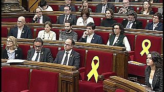 Catalan parliament named Carles Puigdemont as its symbolic leader
