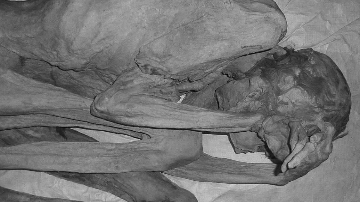 'World's oldest tattoos' found on 5,000-year-old mummies