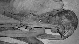 Les plus vieux tatouages figuratifs découverts sur des momies
