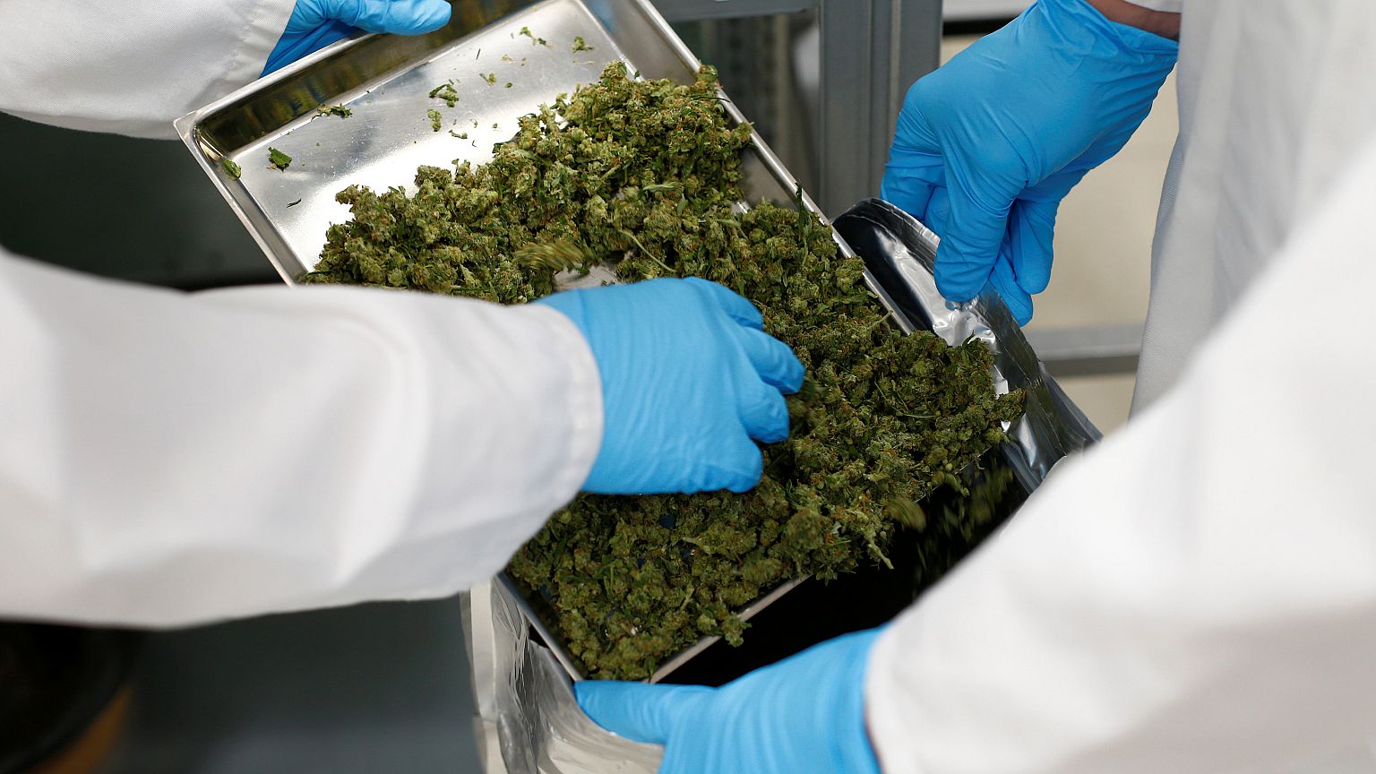 Parlamento grego aprova uso da canábis para fins medicinais