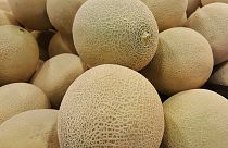 Melon listeria kills three, 12 others ill in Australia
