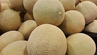 Melon listeria kills three, 12 others ill in Australia