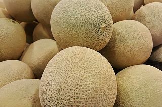 Melon listeria kills three, 12 others ill in Australia