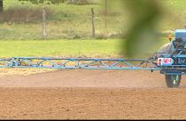 Glyphosat: Demo gegen Monsanto-Kauf durch Bayer in Lyon