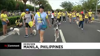Filippine, oltre mille partecipamnti per la corsa dei cani di Manila