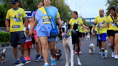 Cães e donos fazem marcha solidária em Manila