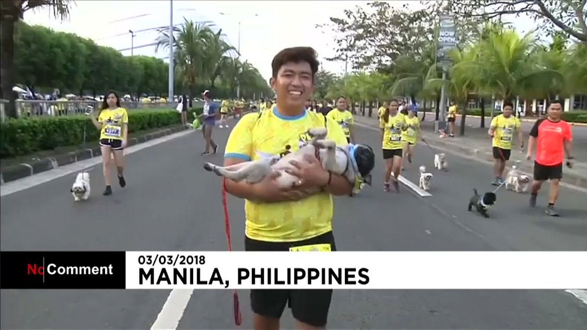 1000 Hunde beim Volkslauf in Manila