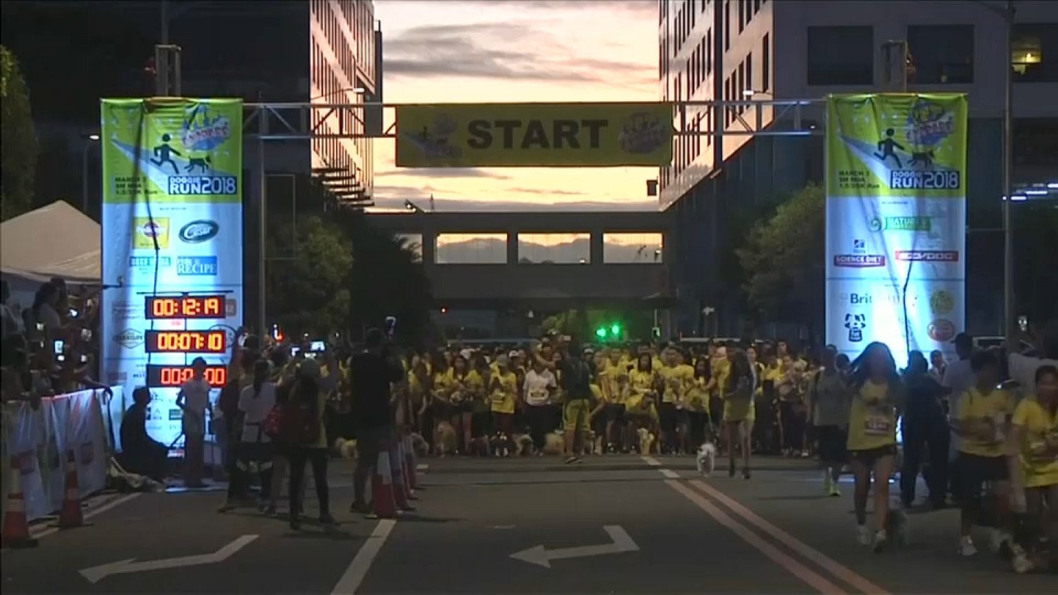 Una carrera muy perra