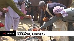 Día de gala para los cocodrilos del santuario de Manghopir en Pakistán
