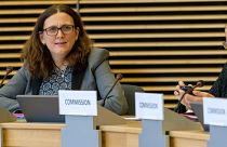 Εμπορικός πόλεμος Ε.Ε.-Η.Π.Α