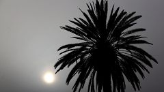 Κύπρος: Σκόνη και ζέστη προκαλούν δυσφορία – Τι να προσέχετε