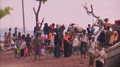 'Ethnic cleansing' of Rohingya continues says UN envoy  