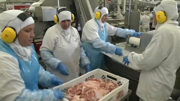The "weak flesh" probe has tarnished Brazil's valuable meat industry The "weak flesh" probe has tarnished Brazil's valuable meat industry