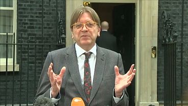 Guy Verhofstadt, European Parliament Brexit negotiator