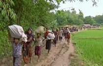 Lo stato del mondo secondo l'Onu