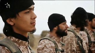 300 djihadistes français tués sur le théâtre irako-syrien depuis 2014
