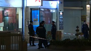 Afghan man 'admits' Vienna knife attacks