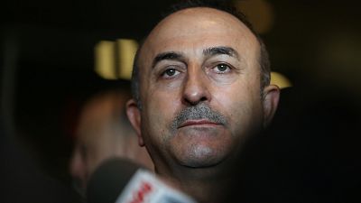 Çavuşoğlu: Afrin operasyonu Mayıs'a kadar biter