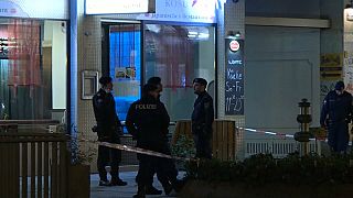 Viyana'da 4 kişiyi bıçakla yaralayan saldırgan yakalandı