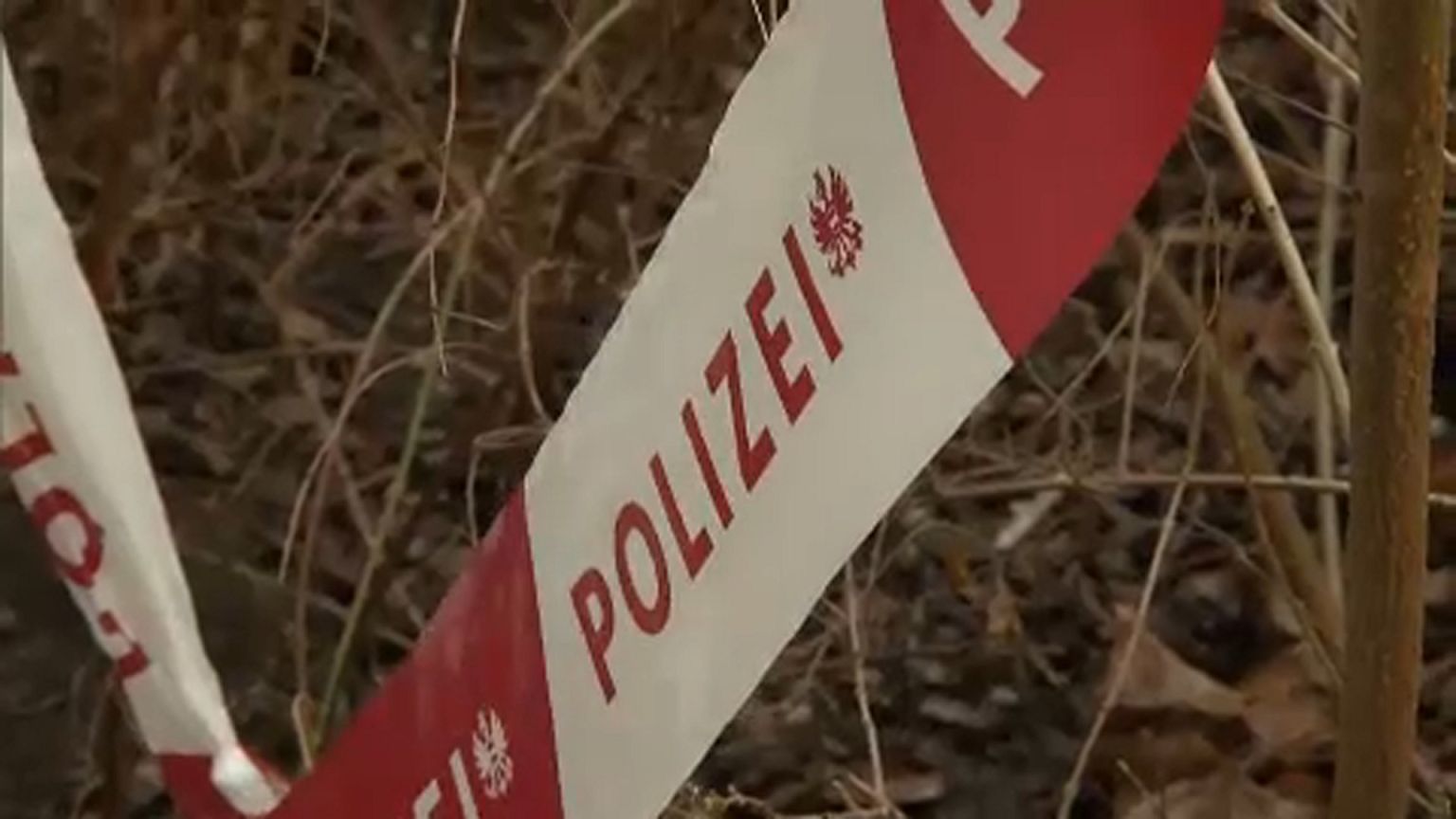 Dílerét okolta drogfüggőségéért a bécsi késelő