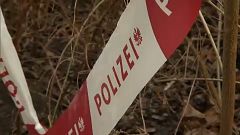 Dílerét okolta drogfüggőségéért a bécsi késelő