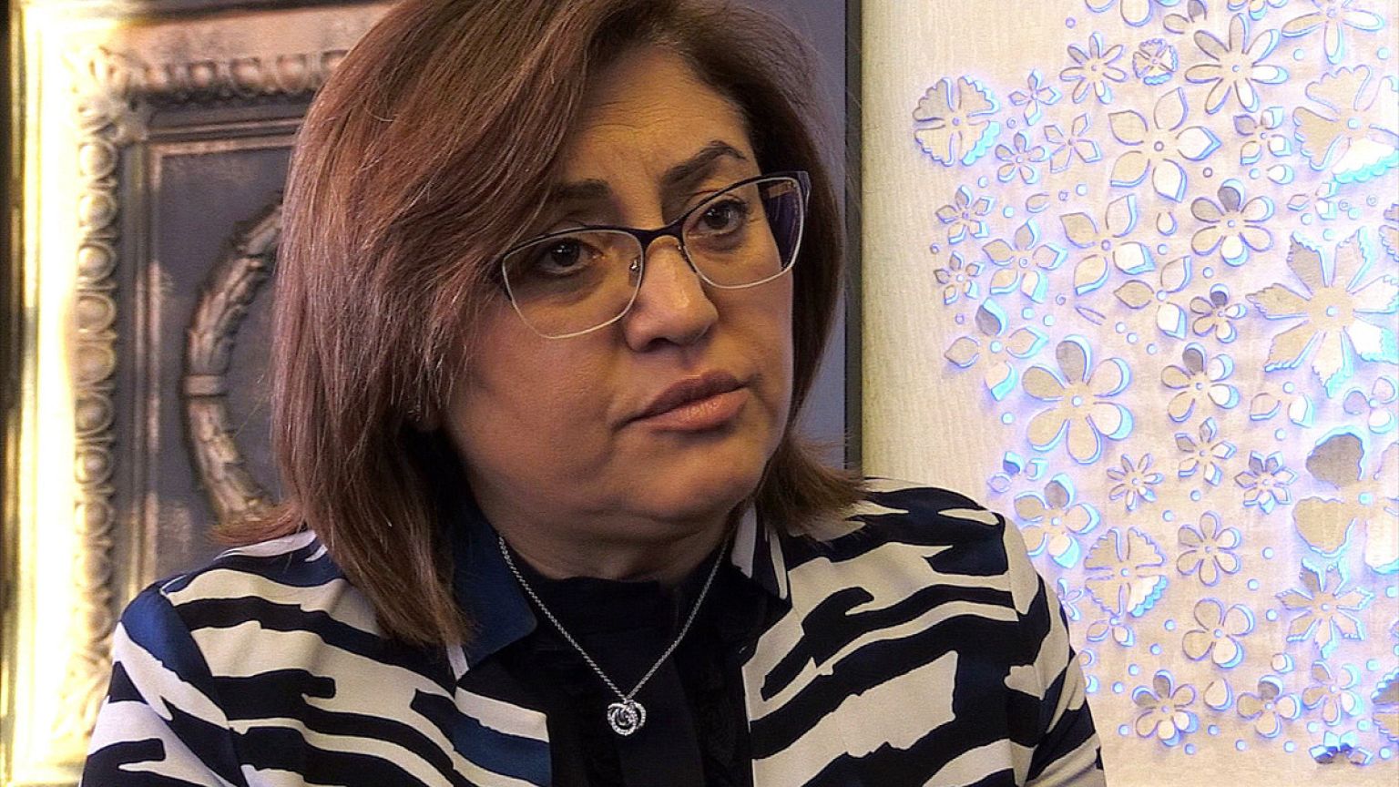 "Fatma Şahin'in Hollanda'ya ziyaret planı yoktu"