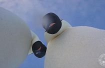 سلفی دو پنگوئن‌ کنجکاو در قطب جنوب