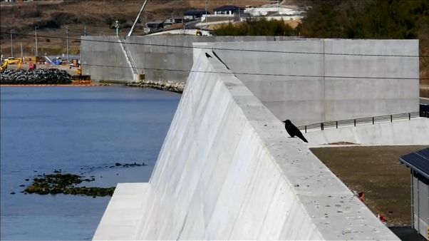 7 Jahre nach Fukushima: Tepcos "Eiswand" ist undicht 7 Jahre nach Fukushima: Tepcos "Eiswand" ist undicht