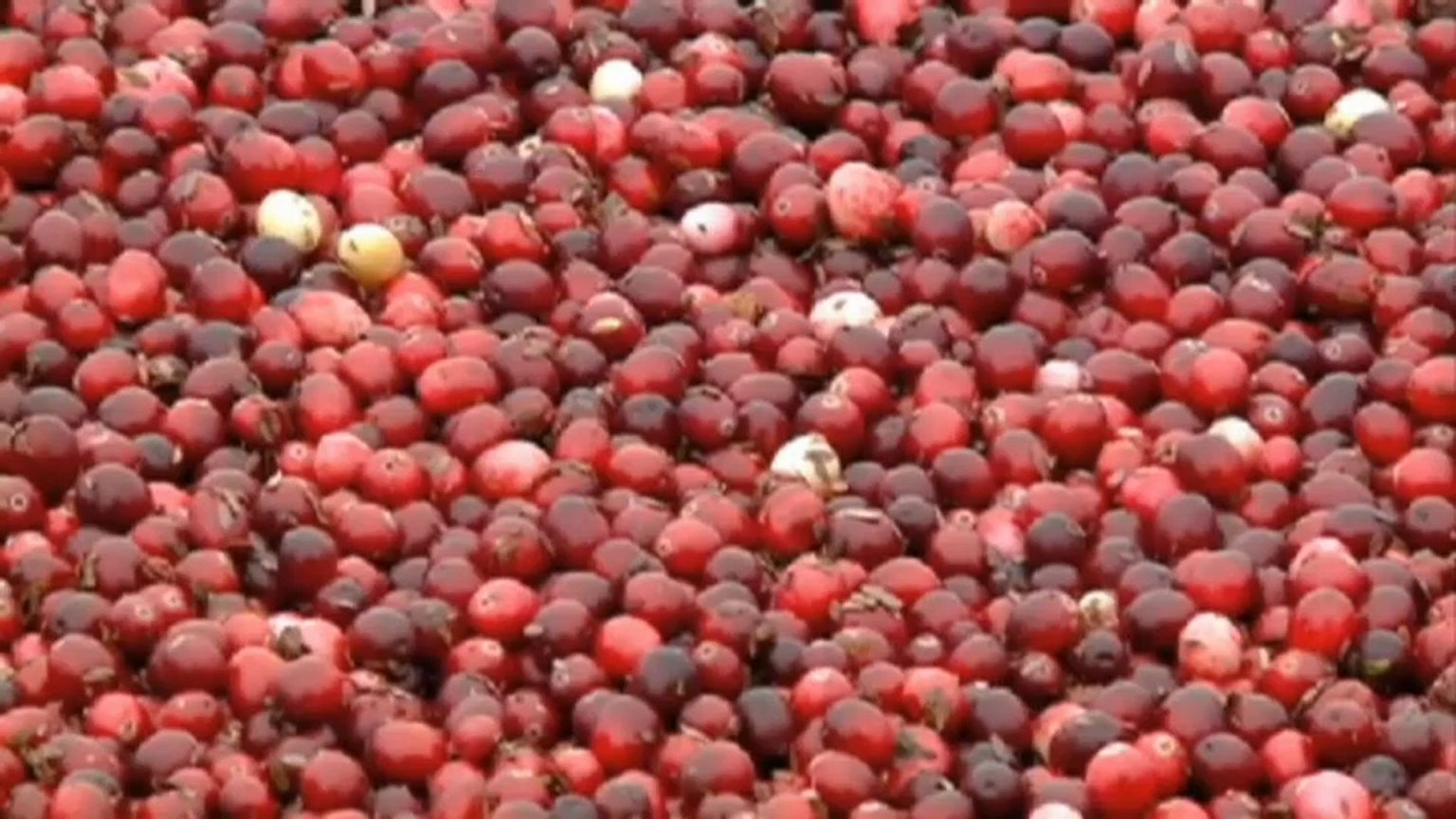 EU: Strafzölle auf Cranberries?