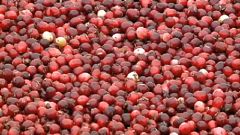 EU: Strafzölle auf Cranberries?