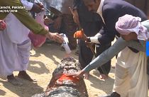 No Comments of the week