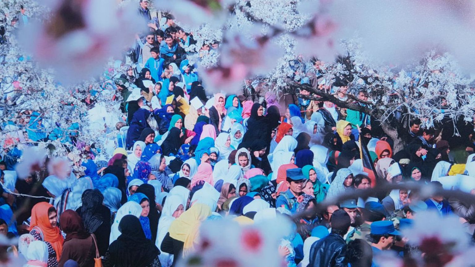 نمایشگاه عکس «سرزمین گل بادام» افغانستان