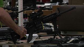 USA: la Florida rende legge un testo contro le armi