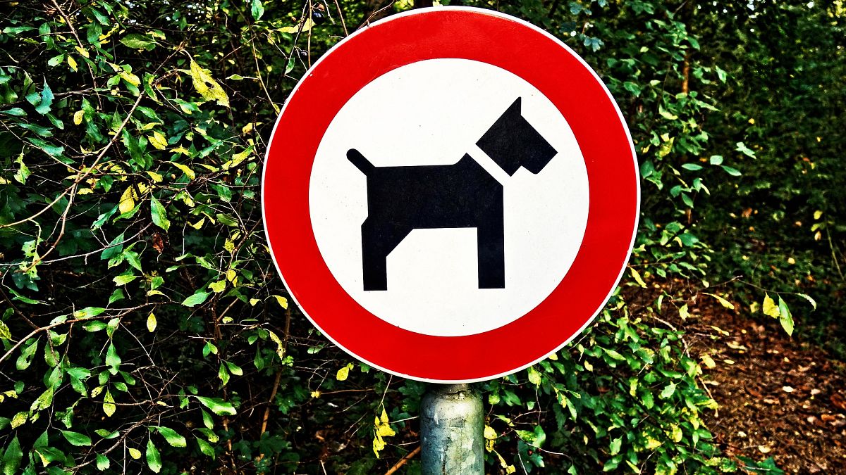 Villagers create 'Poopfolio' map to shame dog owners into cleaning up after their pets