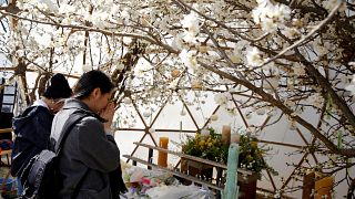 Ιαπωνία: Επτά χρόνια από τον καταστροφικό σεισμό