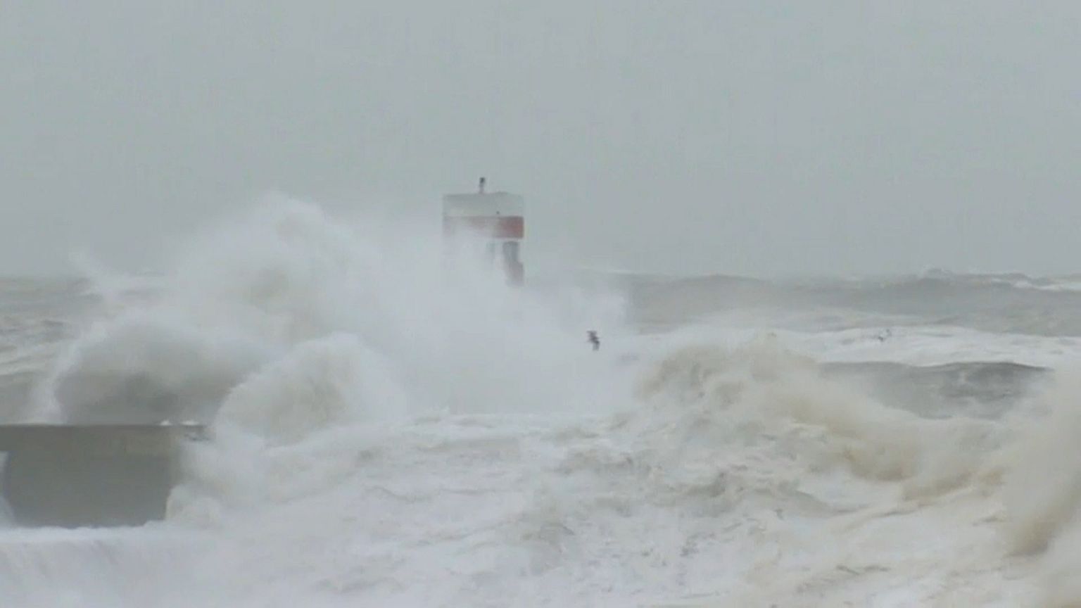 Centenas de árvores caem à passagem da Tempestade Félix