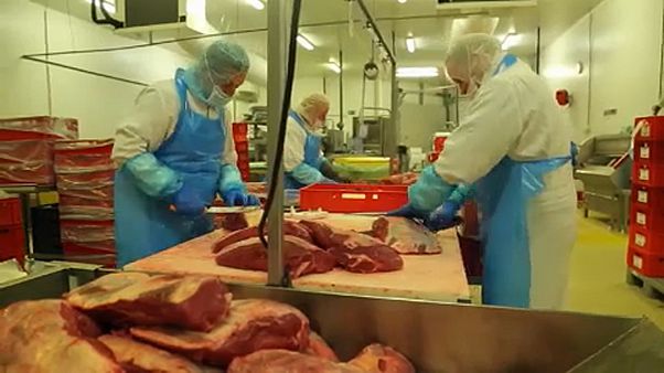 Escándalo alimentario en Bélgica Escándalo alimentario en Bélgica