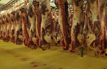 Rohadt húst árultak a legnagyobb belga húselőállítónál