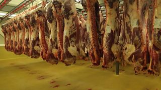 Rohadt húst árultak a legnagyobb belga húselőállítónál