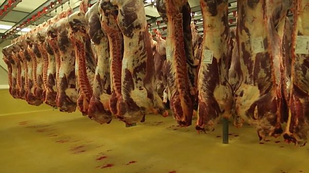 Rohadt húst árultak a legnagyobb belga húselőállítónál Rohadt húst árultak a legnagyobb belga húselőállítónál