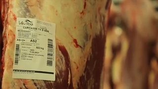Scandal over rotten meat in Belgium